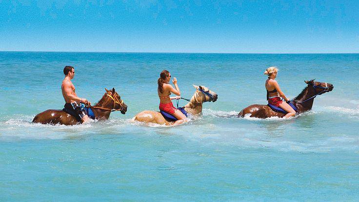 Horseback Riding in the Water of Turks and Caicos