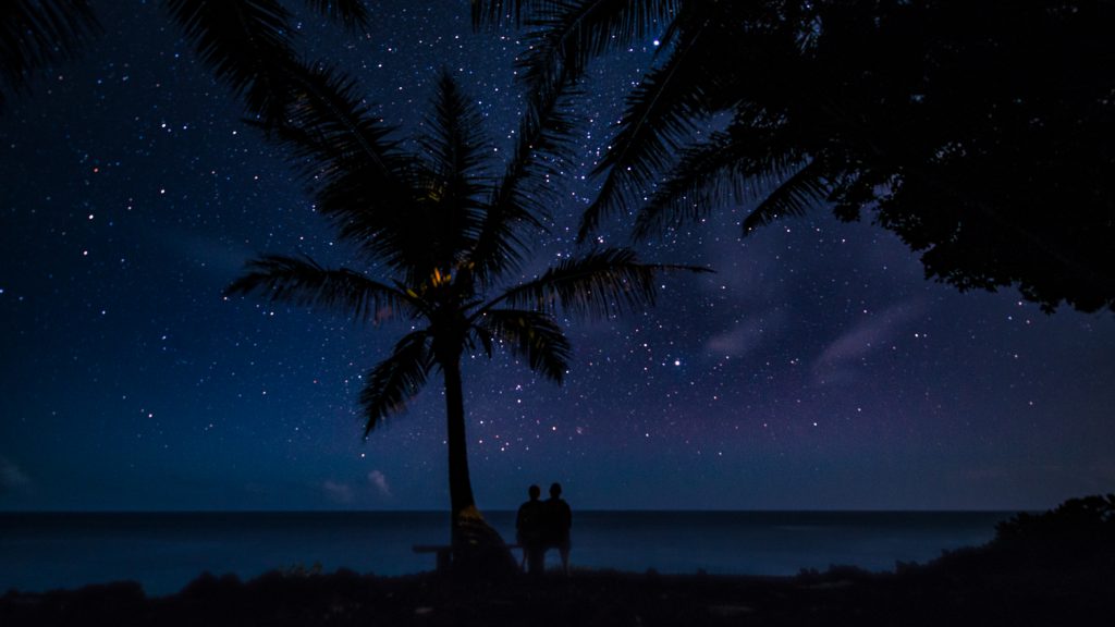 Stargazing with palm trees in the Turks and Caicos