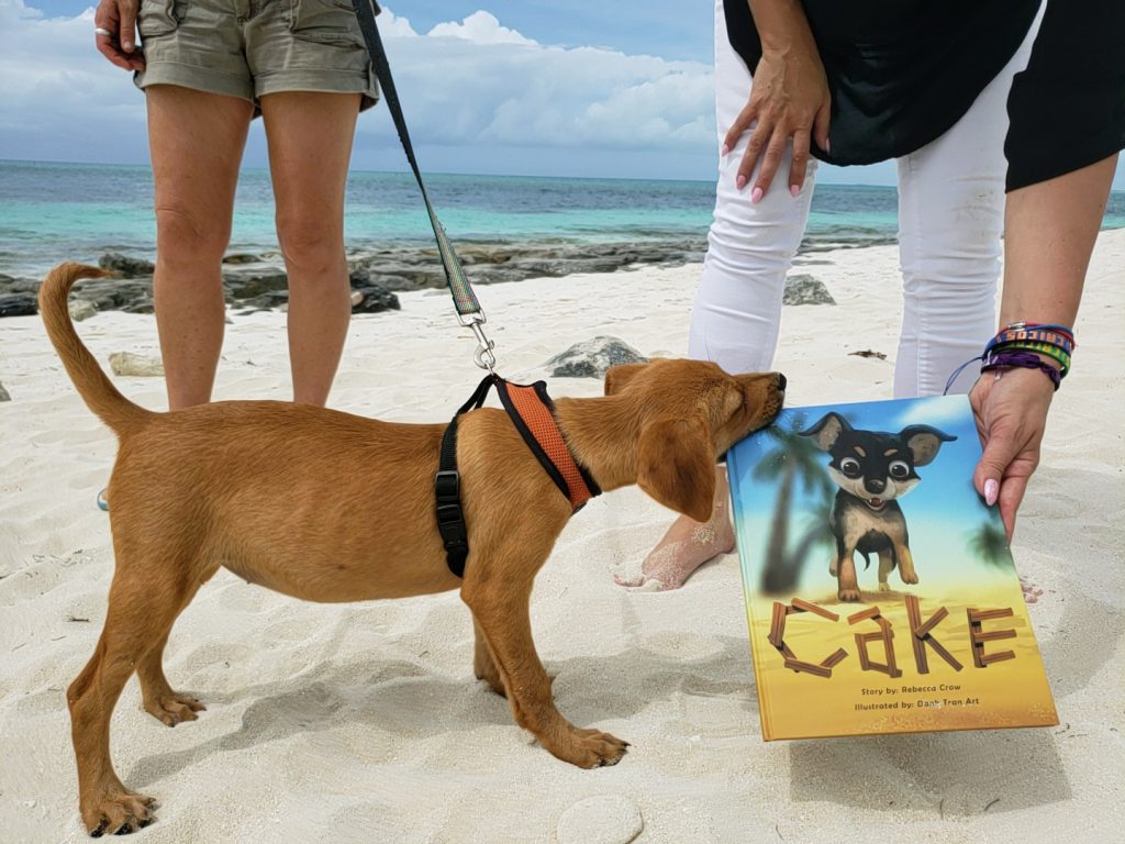 Potcake Puppy Biting a Book on the beach in Providenciales, Turks and Caicos